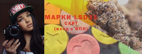 шишки Бронницы