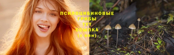 прущая мука Богородицк