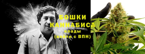 шишки Бронницы